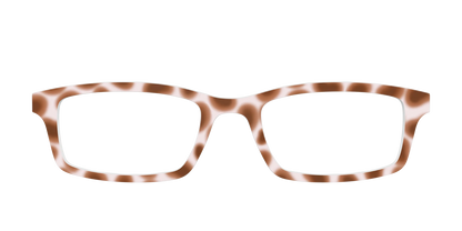 The Caffé Tortoise