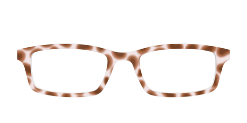 The Caffé Tortoise