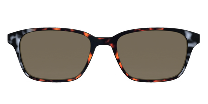 The Polarized Gray & Amber Tortoise Sun Top
