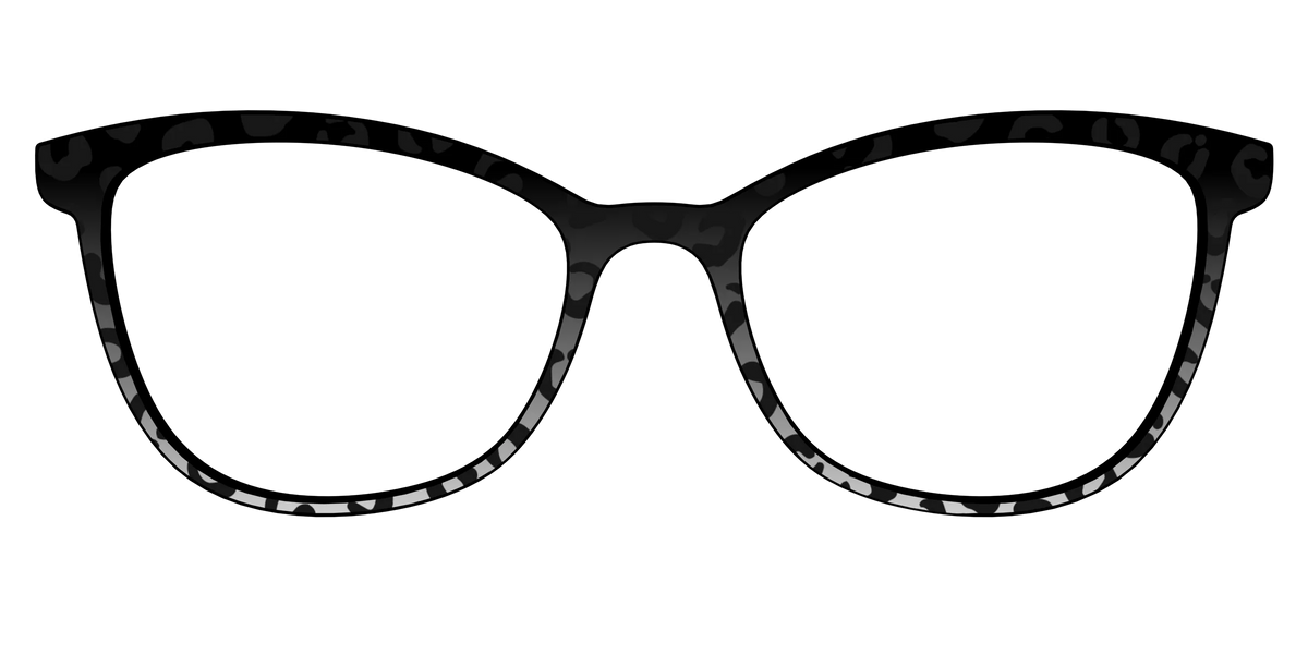 The Black Cheetah