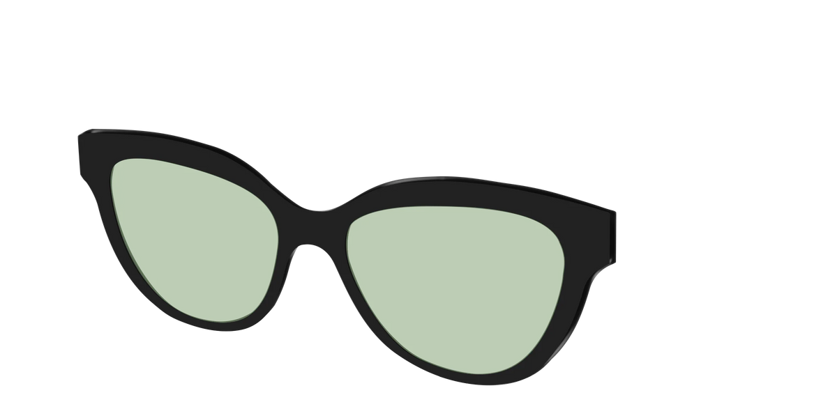 The Black With Sage Green Lens