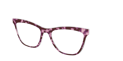 The Maroon Tortoise