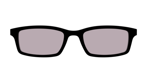 The Black with Gray Gaming Lens