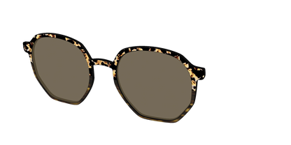 The Polarized Caramel Tortoise Horn Split Sun Top