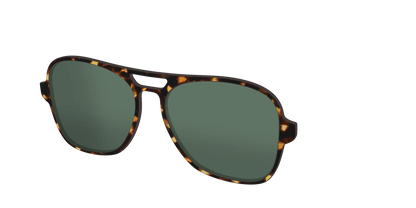 The Non-Polarized Green Tortoise Sun Top