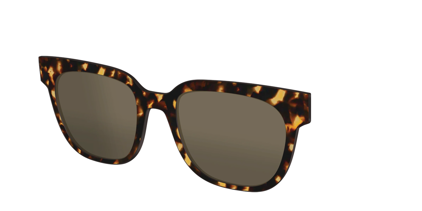 The Non-Polarized Tortoise Sun Top