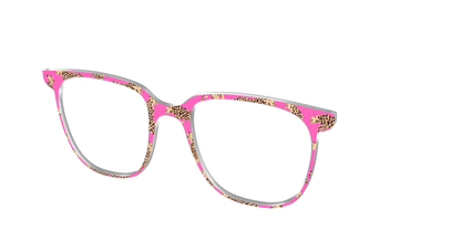 The Hot Pink Cheetahs