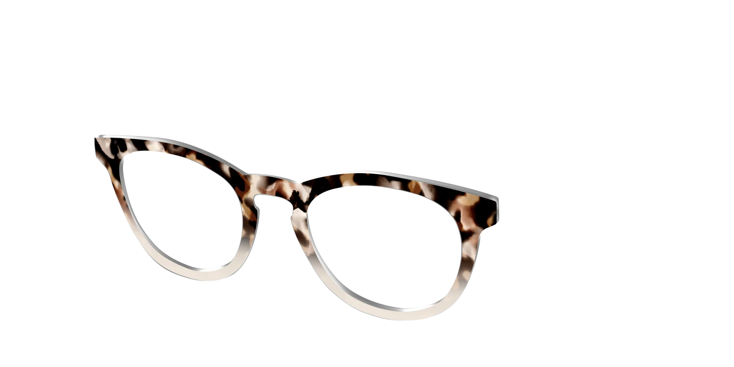 The Vanilla Latte Tortoise