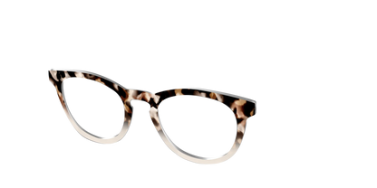 The Vanilla Latte Tortoise