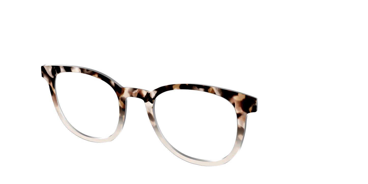 The Vanilla Latte Tortoise