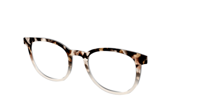 The Vanilla Latte Tortoise