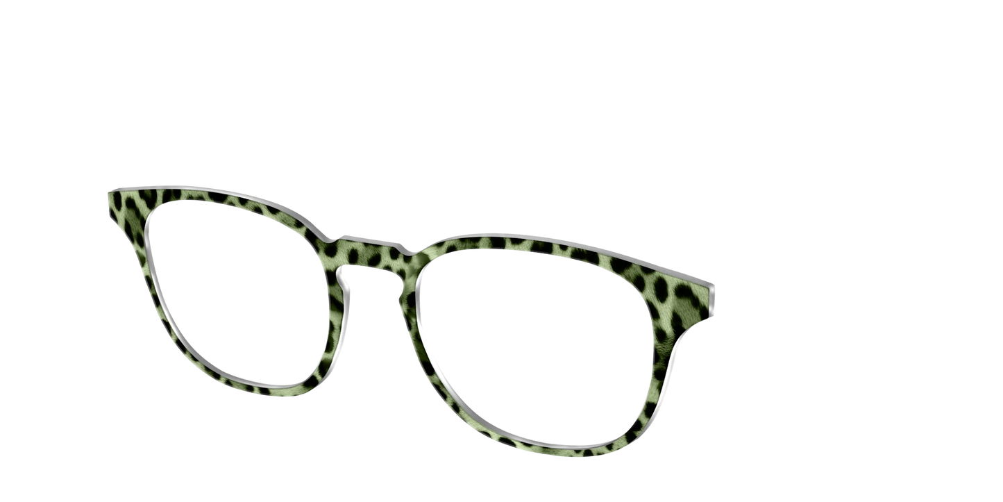 The Lucky Leopard
