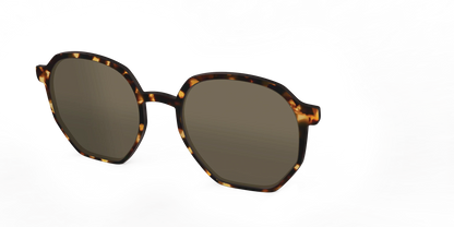 The Polarized Tortoise Sun Top