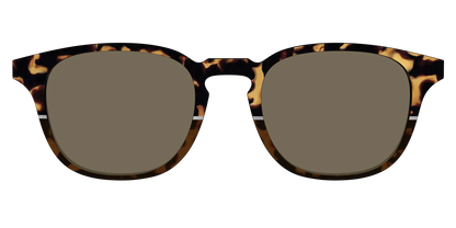 The Polarized Chic Tortoise Split Sun Top