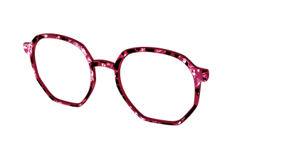 The Raspberry Pearl Tortoise