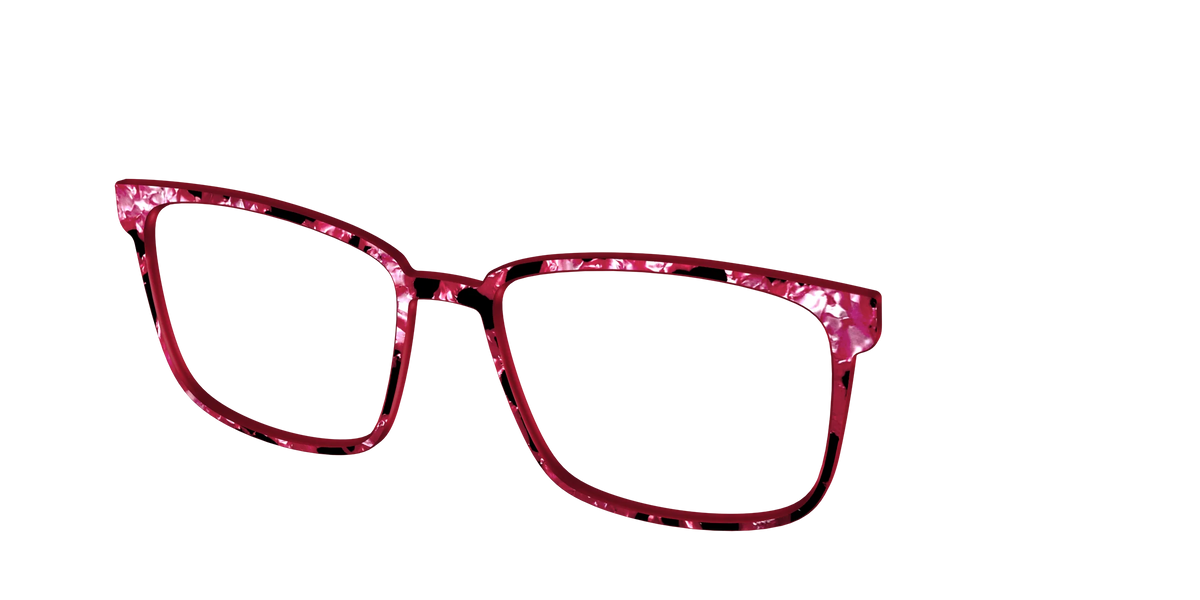 The Raspberry Pearl Tortoise