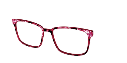 The Raspberry Pearl Tortoise
