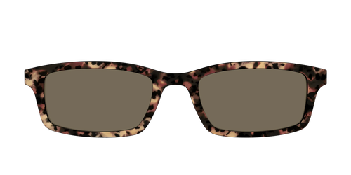 The Polarized Sienna Tortoise Sun Top
