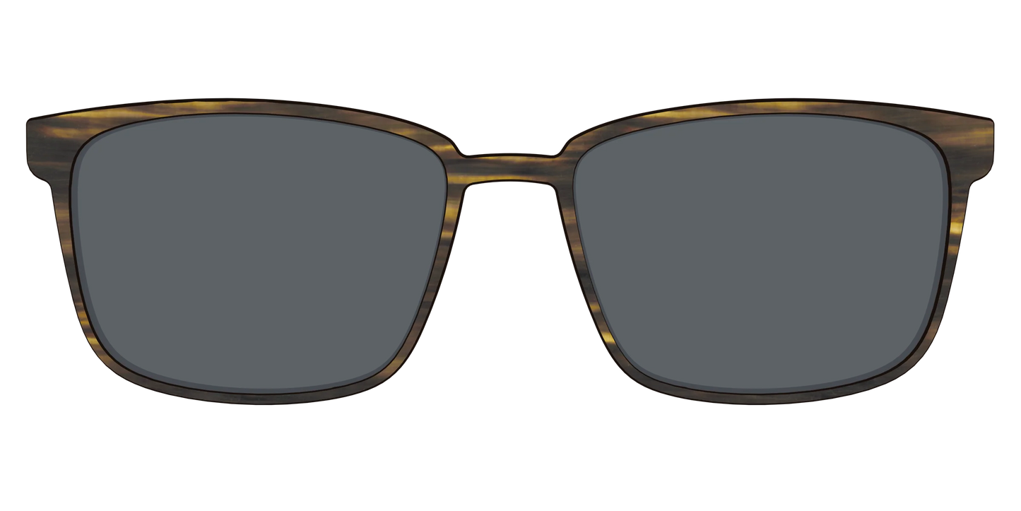 The Polarized Horn Sun Top