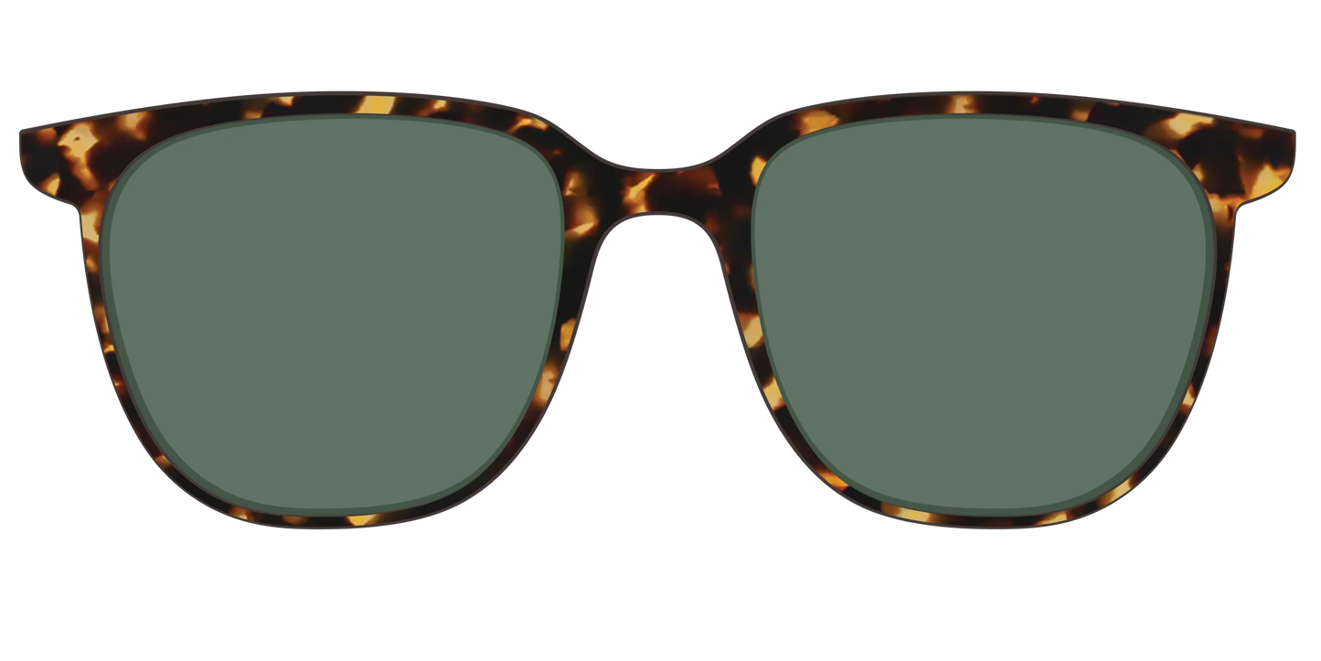 The Non-Polarized Green Tortoise Sun Top
