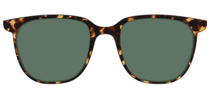 The Non-Polarized Green Tortoise Sun Top