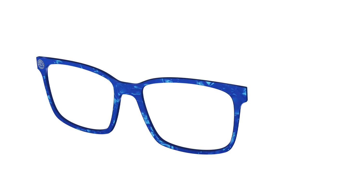 The Ravenclaw™ Pearl Tortoise