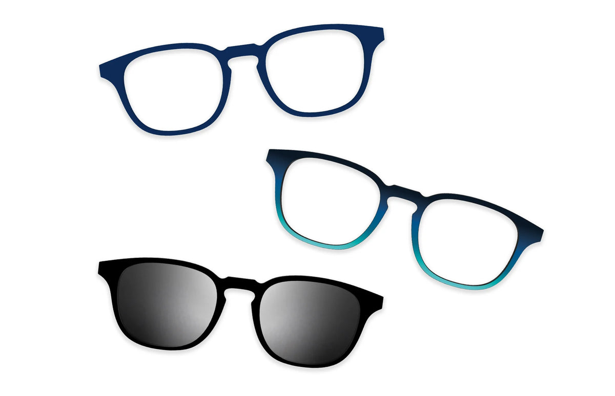 Blue Tortoise - Set
