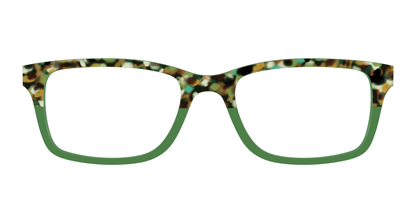 The Forest Tortoise Crystal Split