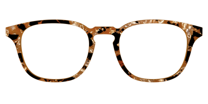 The Caramel Pearl Tortoise