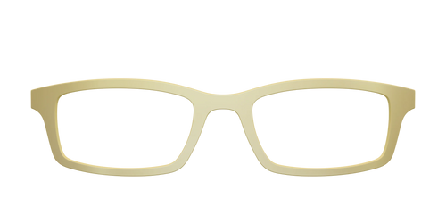 The Gold Mirror