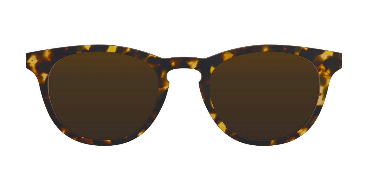 The Polarized Tortoise Sun Top