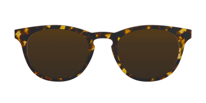The Polarized Tortoise Sun Top