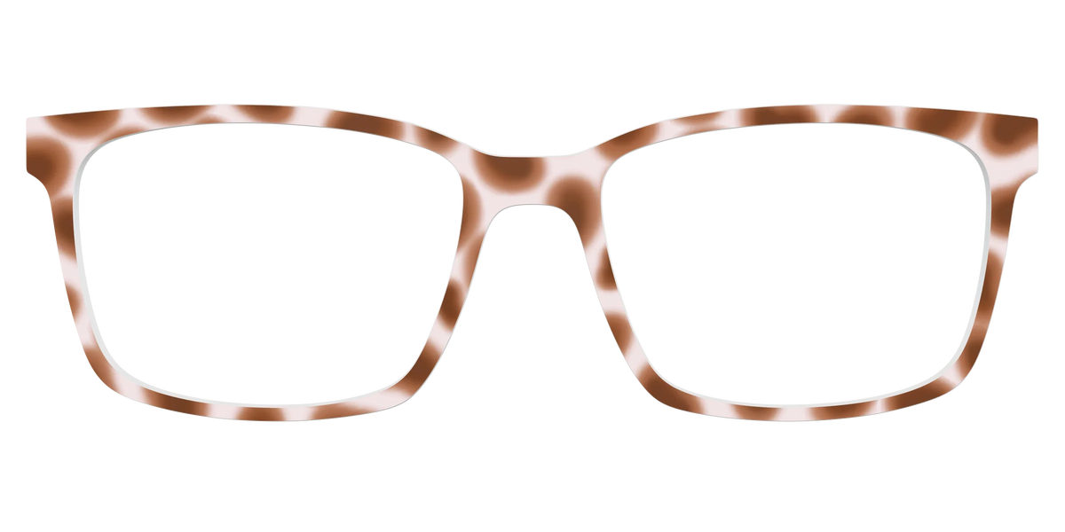 The Caffé Tortoise