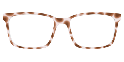 The Caffé Tortoise