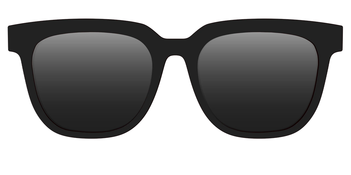 The Polarized Black Sun Top