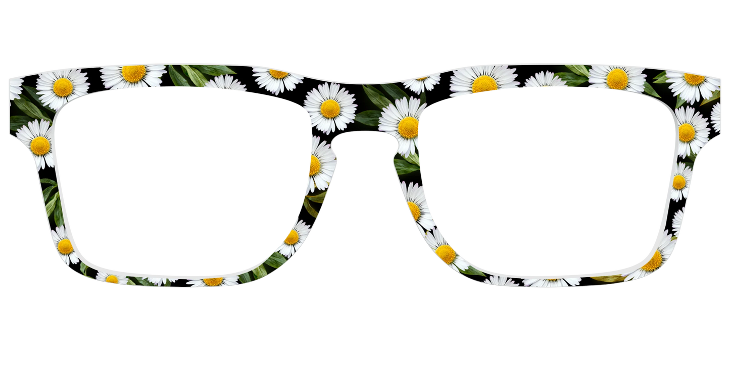 The Delicate Daisies