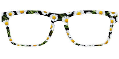 The Delicate Daisies