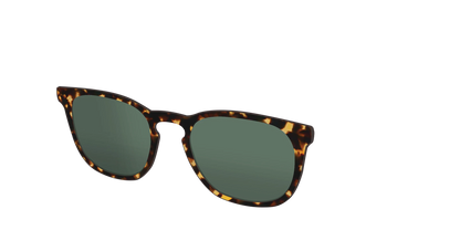The Non-Polarized Green Tortoise Sun Top