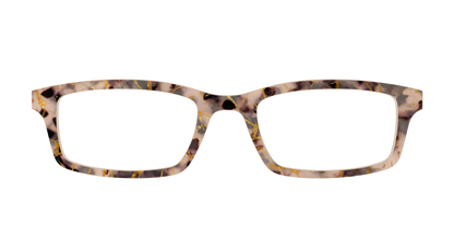The Almond Tortoise with Gold Streaks