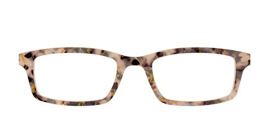 The Almond Tortoise with Gold Streaks
