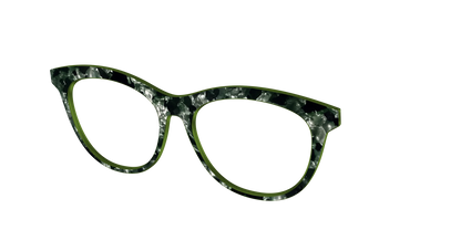 The Olive Pearl Tortoise
