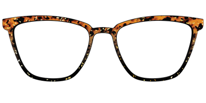 The Rustic Gold Leaf Tortoise