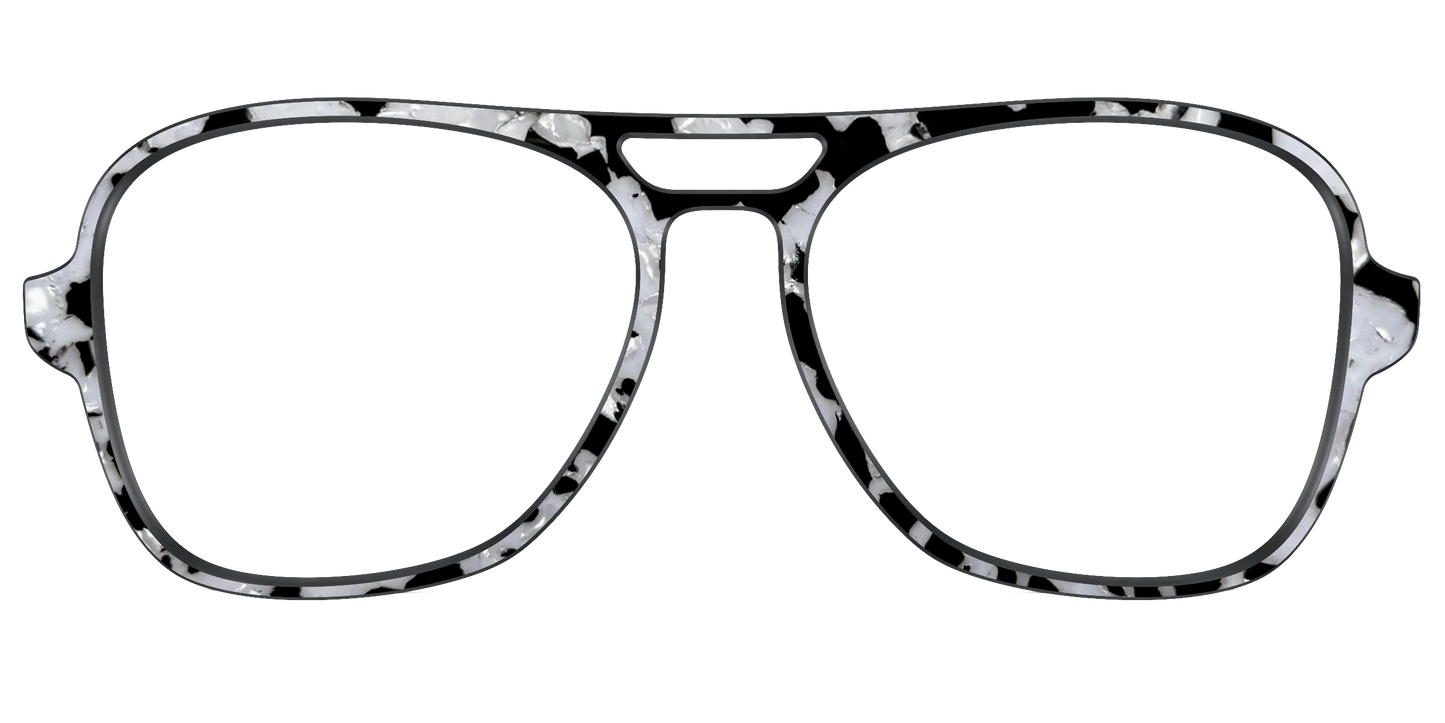 The Black & White Pearl Tortoise