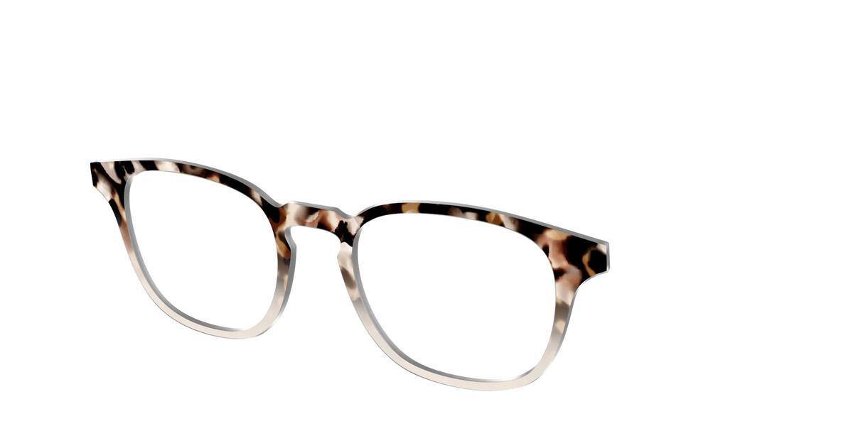 The Vanilla Latte Tortoise