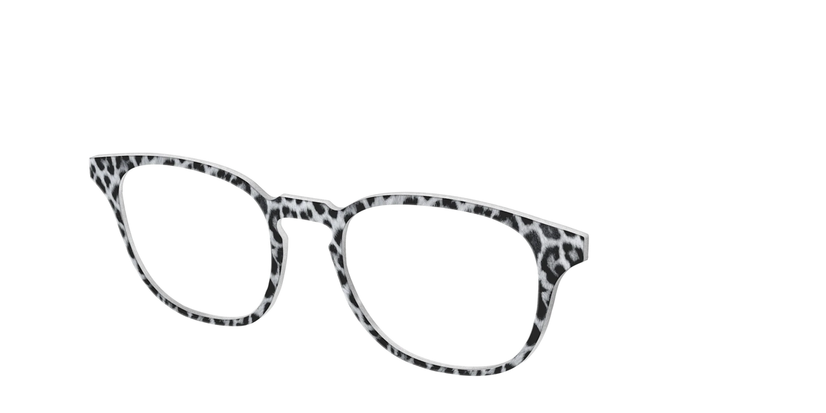 The Snow Leopard Spots