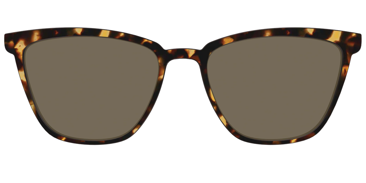 The Non-Polarized Tortoise Sun Top