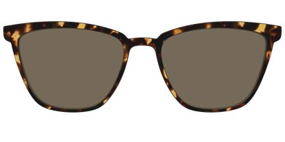 The Non-Polarized Tortoise Sun Top