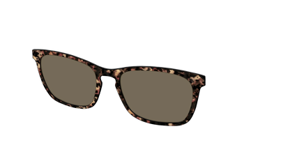 The Polarized Sienna Tortoise Sun Top