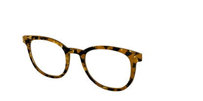 The Tiger's Eye Pearl Tortoise