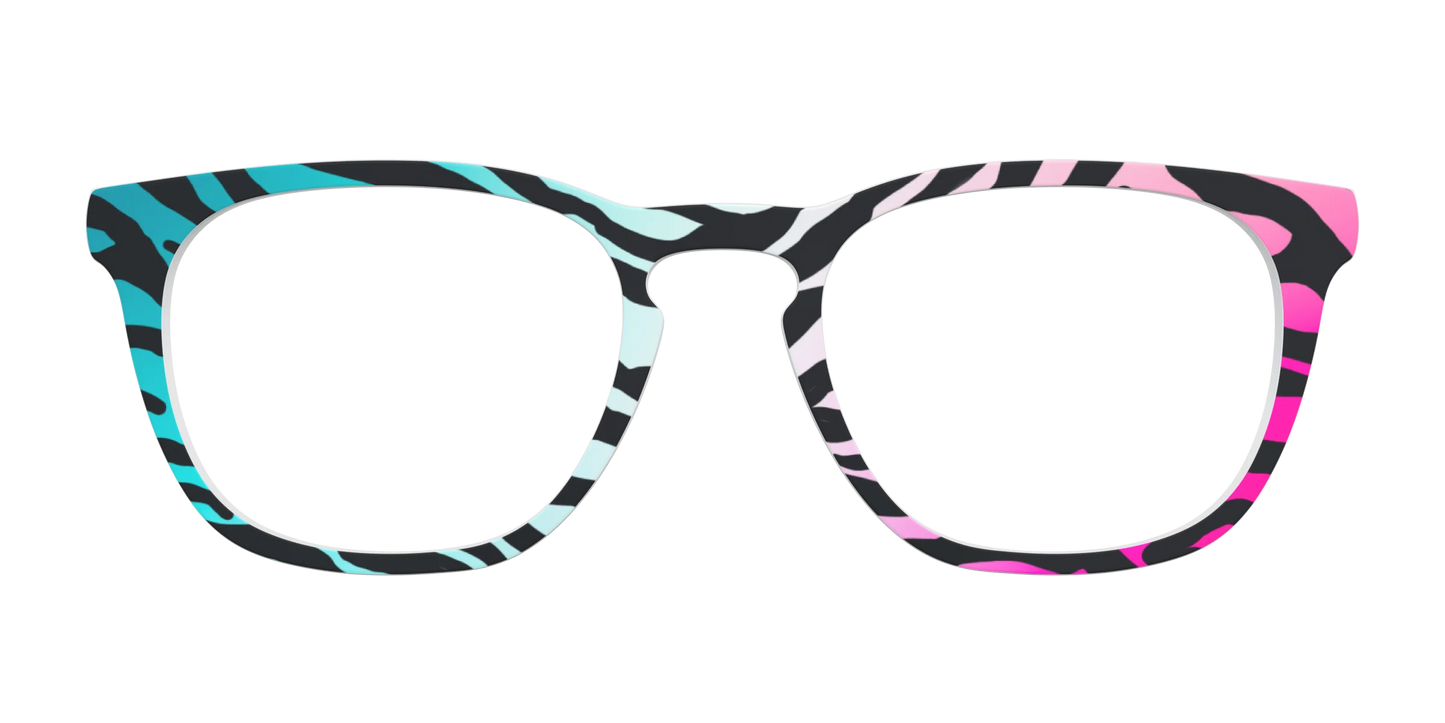 The Rainbow Zebra